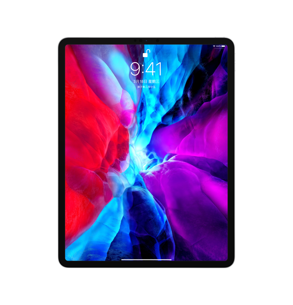 IPAD PRO 11英寸 256G